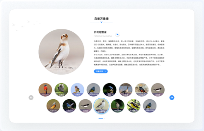 交互設(shè)計、UI設(shè)計、網(wǎng)站設(shè)計