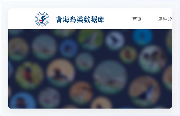 交互設(shè)計、UI設(shè)計、網(wǎng)站設(shè)計